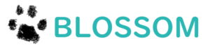 BLOSSOM-ブロッサム-